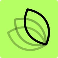 MintMCP logo