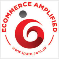iGATE Technology logo
