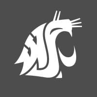 Washington Group International logo