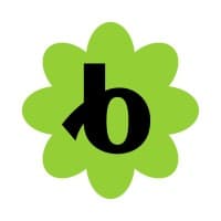 Bloomerang CRM logo