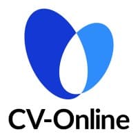 CV-Online LT logo